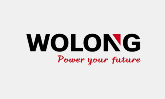 Wolong company logo