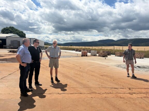 Building Energy Resilience on a South African Farm